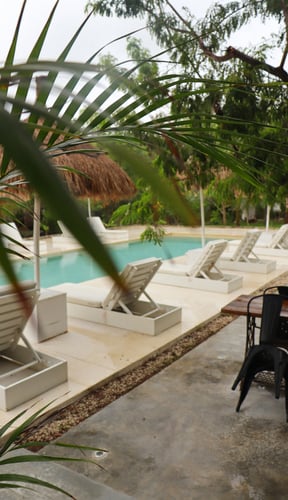 Pool with white sun loungers and palm trees at a tropical villa