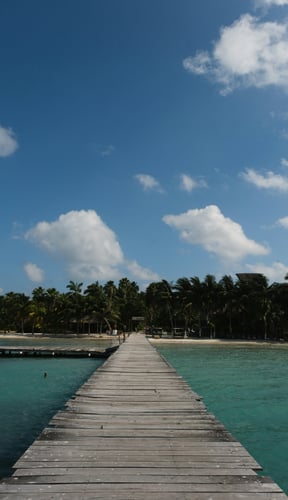 Wooden dock stretching over turquoise water toward a palm-lined shore