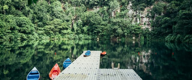 Colourful kayaks on a dock in a jungle cenote with still green water
