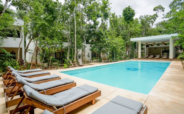 Tranquil pool surrounded by jungle trees and wooden sun loungers at Bacalar Home Rentals