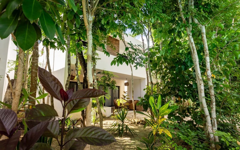 White building with green foliage.